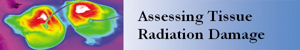 Assessing Tissue
Radiation Damage