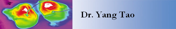 Dr. Yang Tao