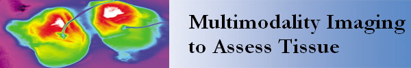 Multimodality Imaging
to Assess Tissue