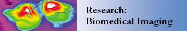 Research:
Biomedical Imaging